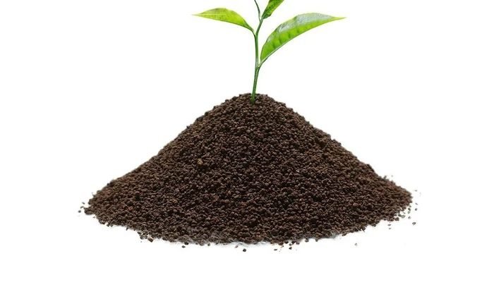 Darjeeling-Tea-Powder
